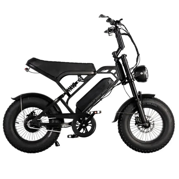 V20 Pro Mini Fatbike – Zwart