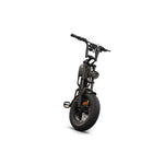 V20 Pro Mini Fatbike – Zwart