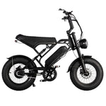 V20 Pro Mini Fatbike – Zwart