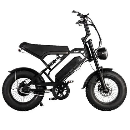 V20 Pro Mini Fatbike – Zwart