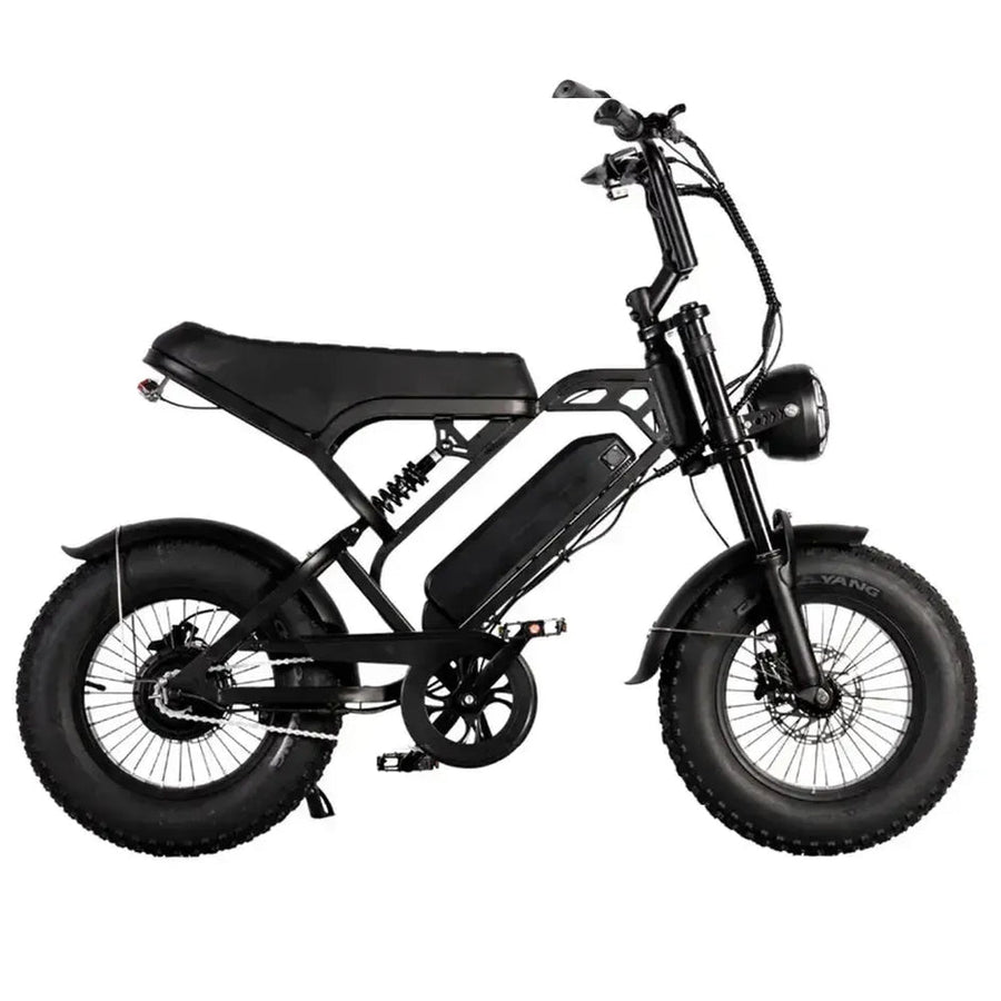 V20 Pro Mini Fatbike – Zwart